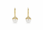 Gold Pearl Drop Earrings