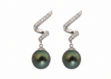white gold plated earrings