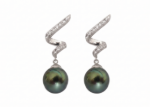white gold plated earrings